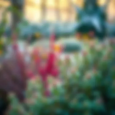 Diverse winter plants in a serene garden setting